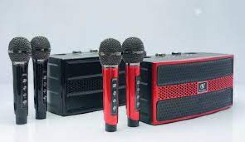Loa karaoke mini YS-202