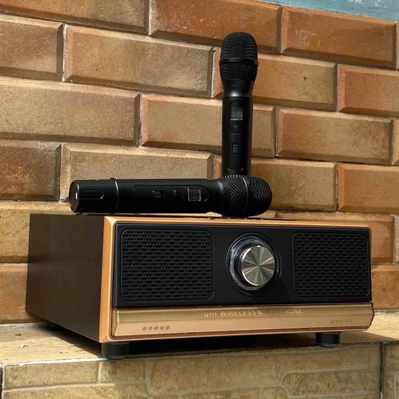 Loa karaoke Q13 kèm 2 mic cao cấp mẫu mới 2023