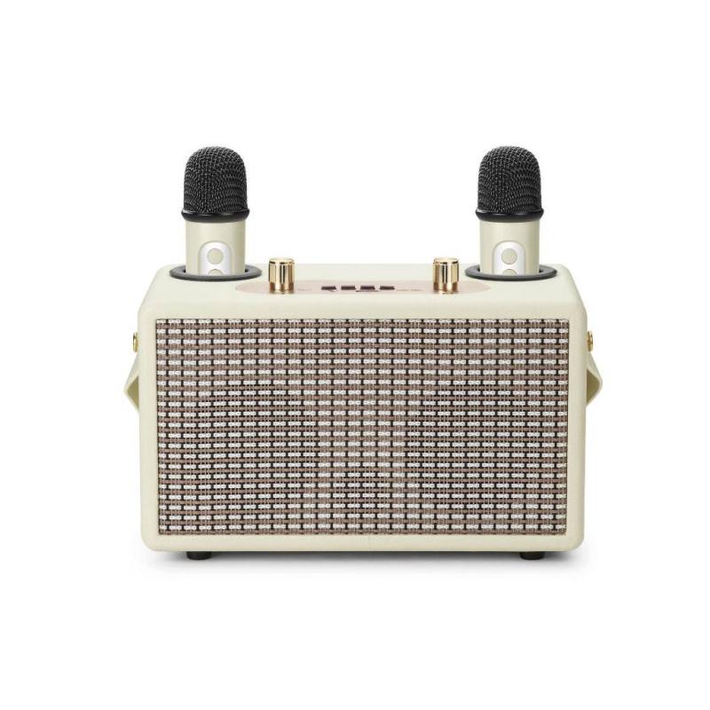 Loa bluetooth karaoke mini M1000 kèm 2 micro không dây