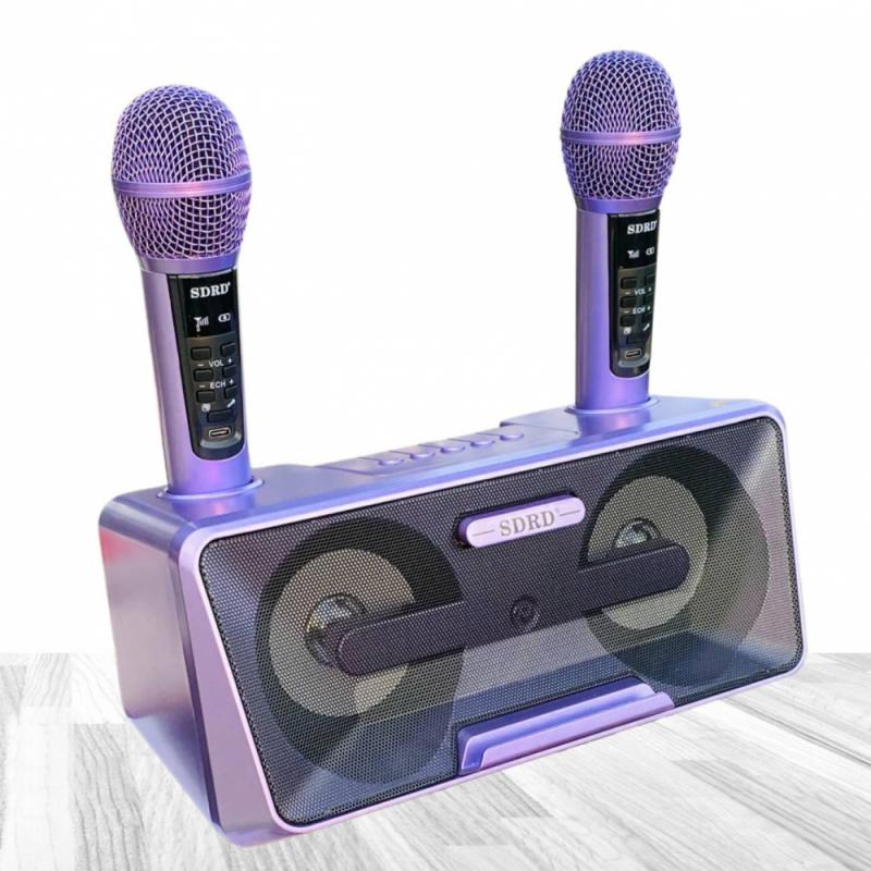 Loa karaoke mini SD-301S kèm 2 micro không dây