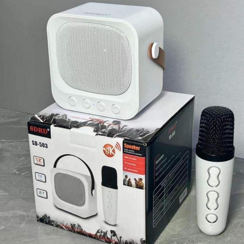 Loa karaoke mini SD-503 kèm 1 micro